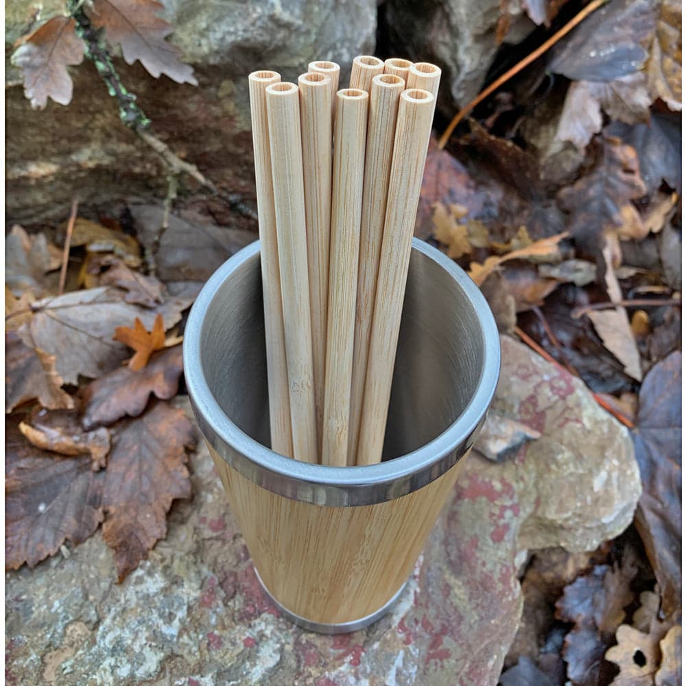 Reusable Bamboo Straws – 10 Pack